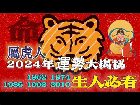 屬虎性格|虎年生肖運勢解析｜全面性格分